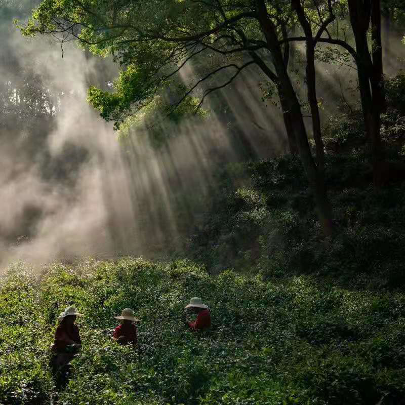 图片2.png 图片2.png