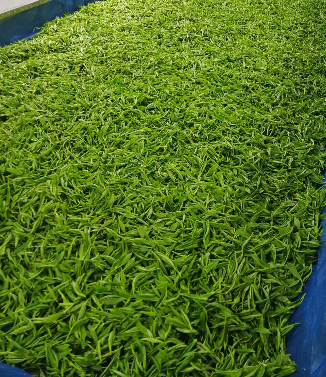 图片3.png 图片3.png